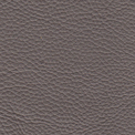 silver birch-leather-upholstered-fabric