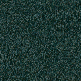 Prizm-hunter-green-vinyl-fabric