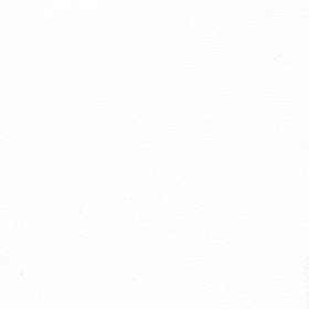 Prizm-white-vinyl-fabric