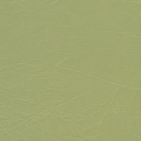 Taurus-fennel-vinyl-fabric