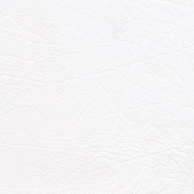 Taurus-polar-vinyl-fabric